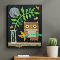 Owlet On a Branch 8x10" Original Collage