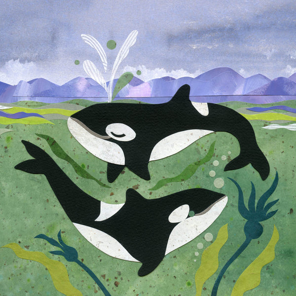 Playing Spraying Orca Print